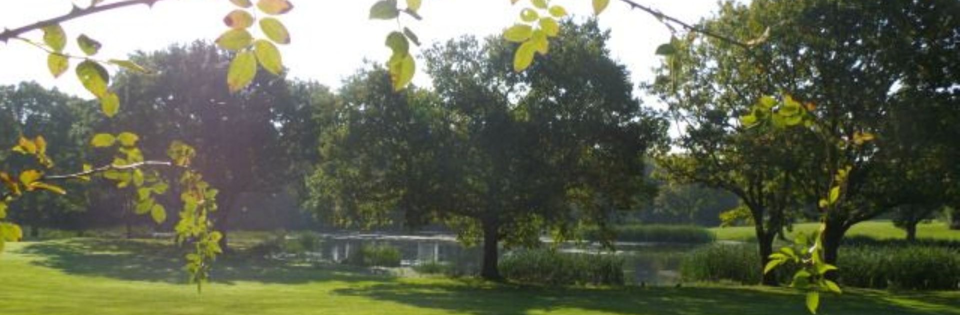 Green Spaces Nell Ball Hill